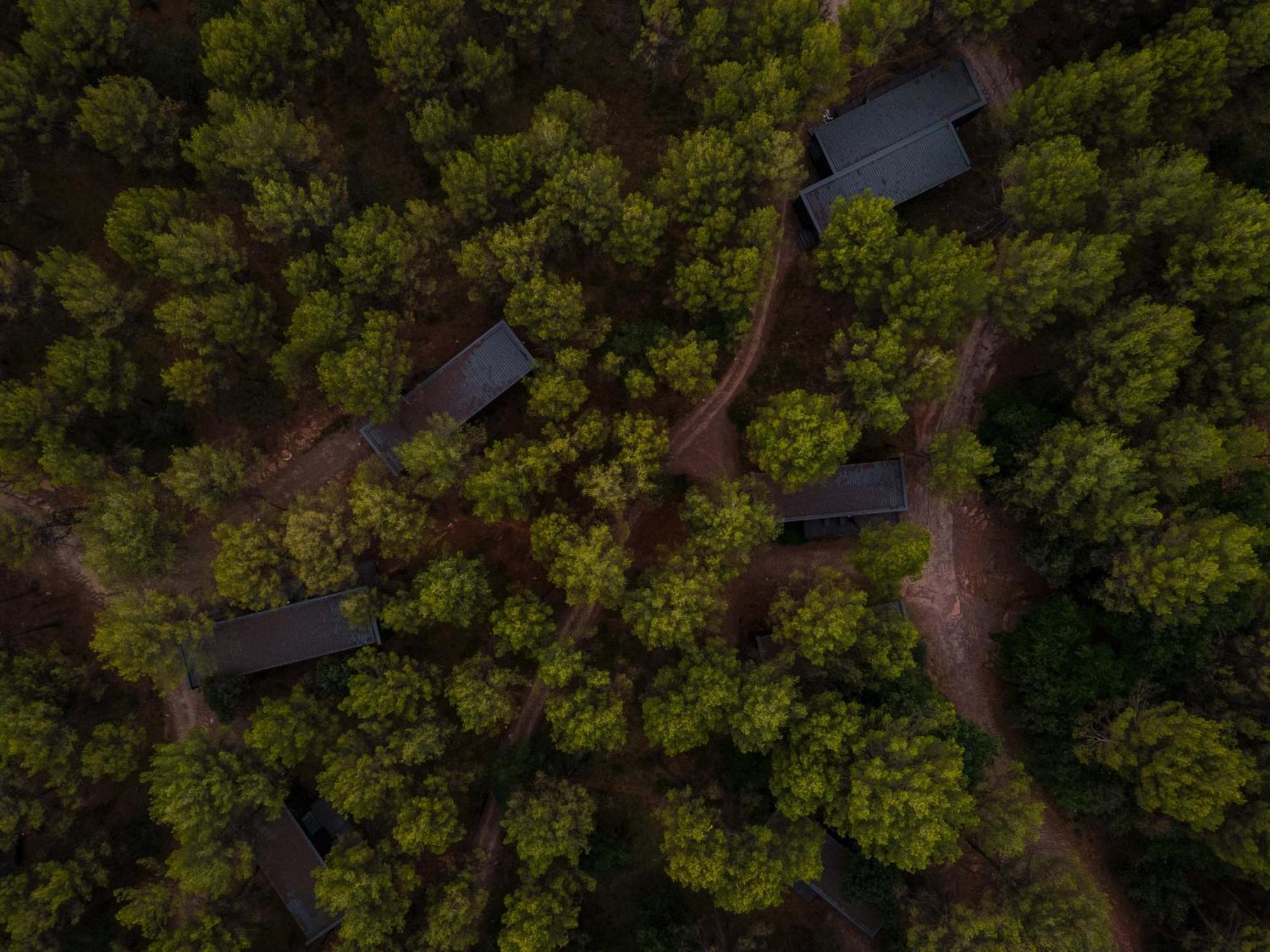 Les Cabanes De L'Oller Del Mas Manresa Exterior foto